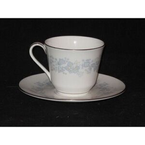 Royal Doulton Meadow Mist Teacup Cup & Saucer‎ Set (s)